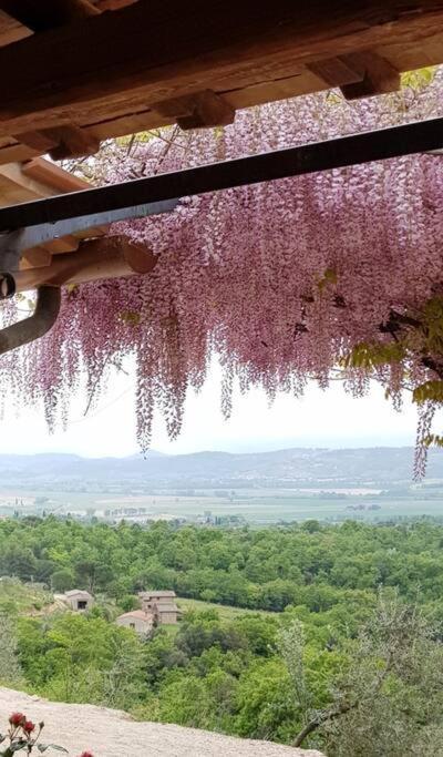 Vesper - Casale Con Piscina - Ad Galli Cantum Città della Pieve Exterior foto