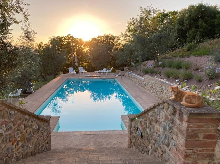 Vesper - Casale Con Piscina - Ad Galli Cantum Città della Pieve Exterior foto