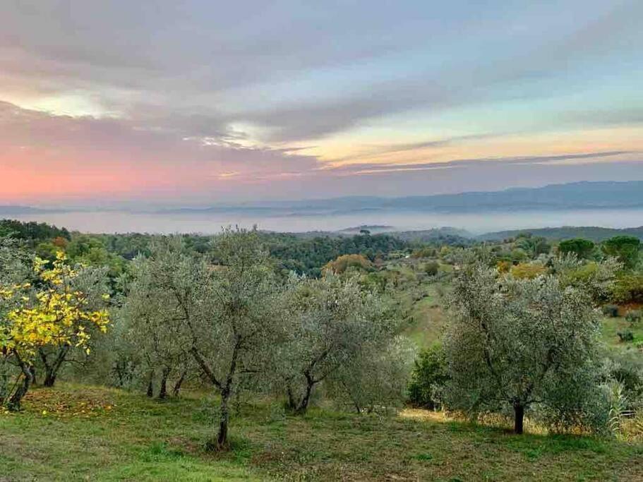 Vesper - Casale Con Piscina - Ad Galli Cantum Città della Pieve Exterior foto