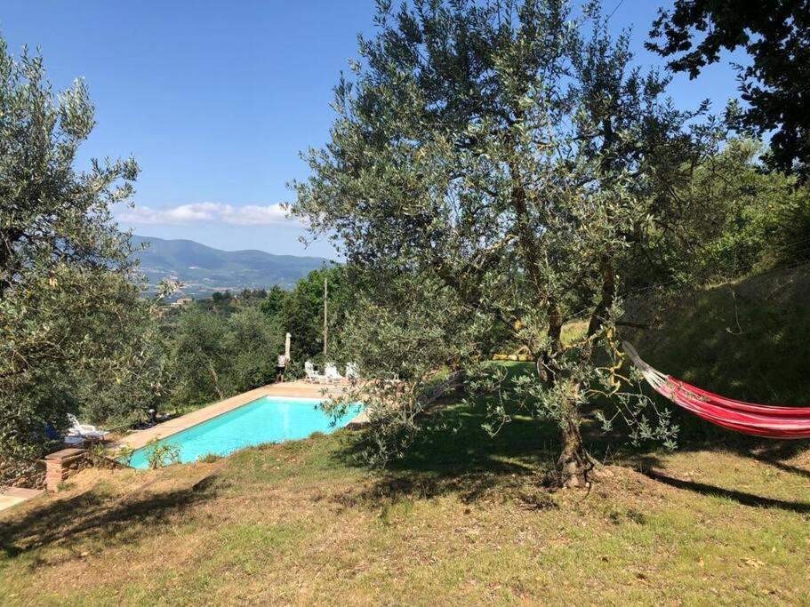 Vesper - Casale Con Piscina - Ad Galli Cantum Città della Pieve Exterior foto